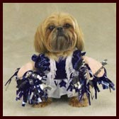 Cheerleader Costume for Dogs