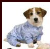 dog Pajamas blue