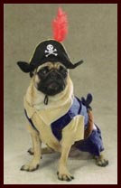 Halloween Pirate Costume for Dogs